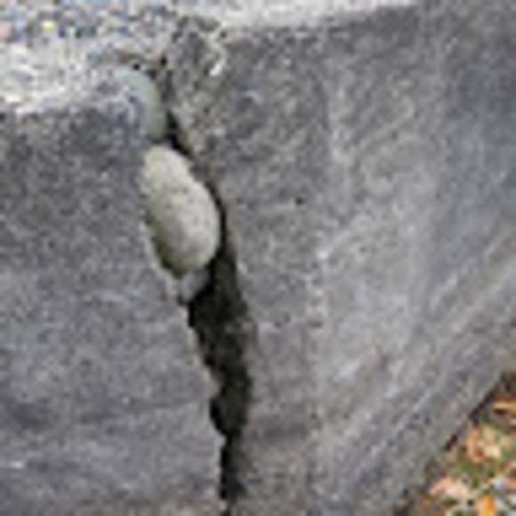 Meet your Posher, Christopher - Picture 1 of 1